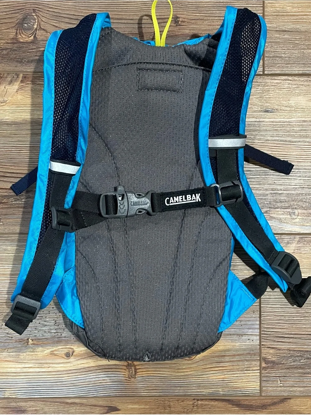Camelbak mini mule