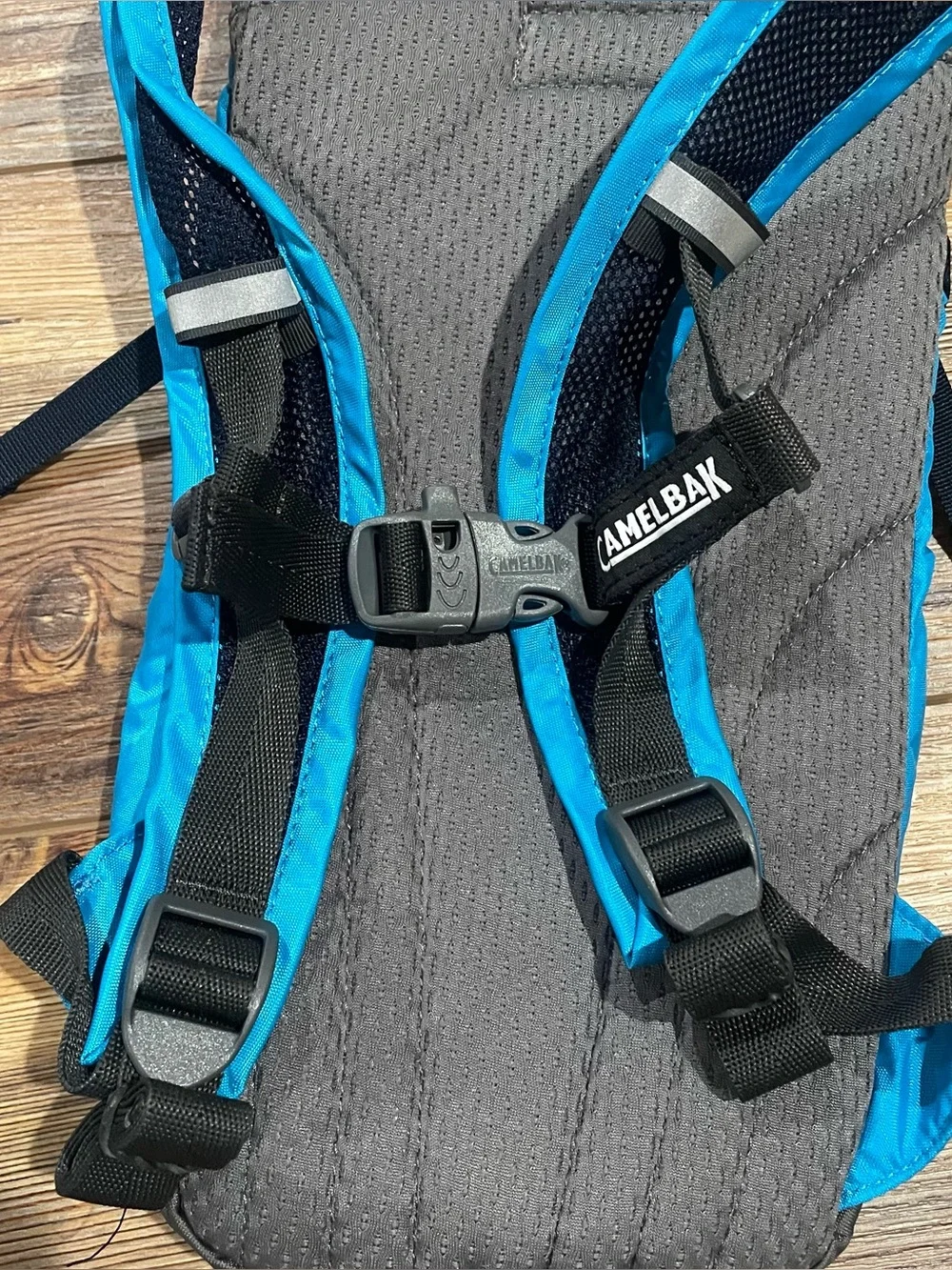 Camelbak mini mule