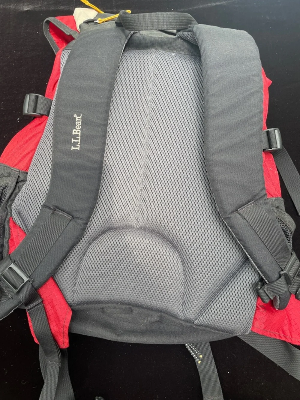 L.L. Bean retails $100