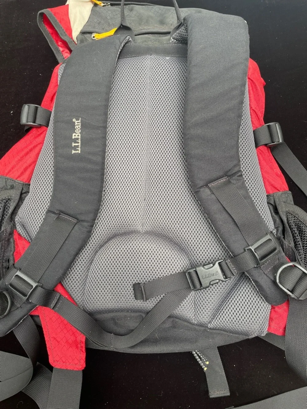 L.L. Bean retails $100