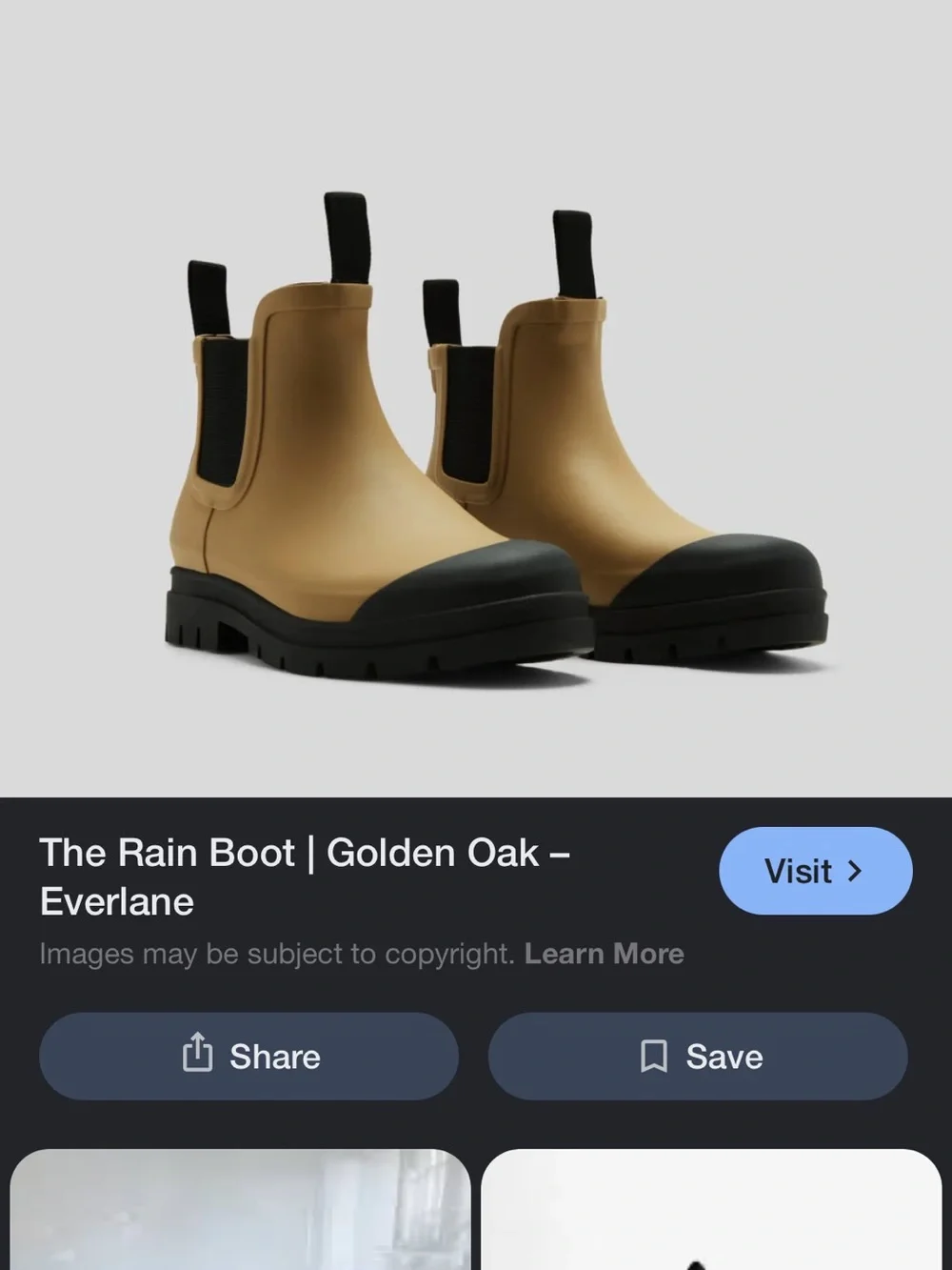 Everlane have oak