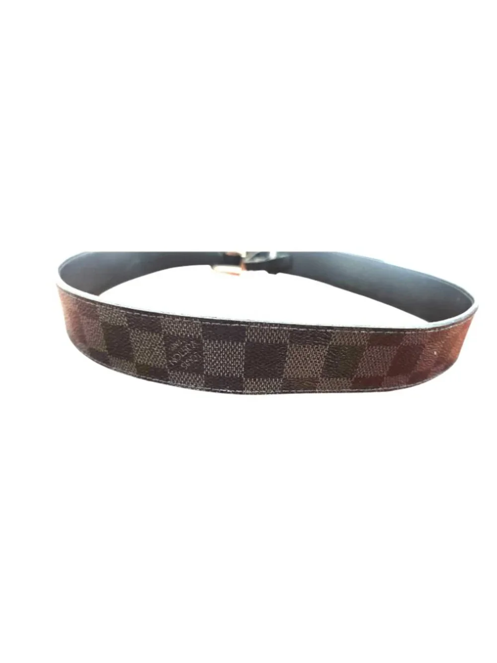 Louis Vuitton brand louis