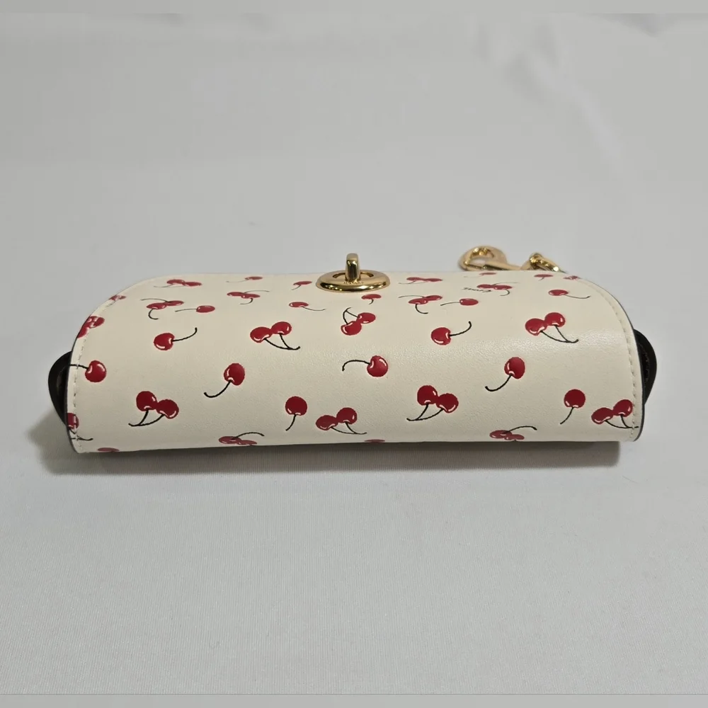 Coach sunglass case