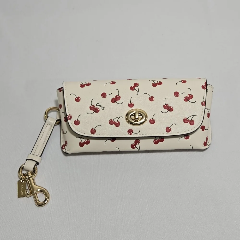 Coach sunglass case