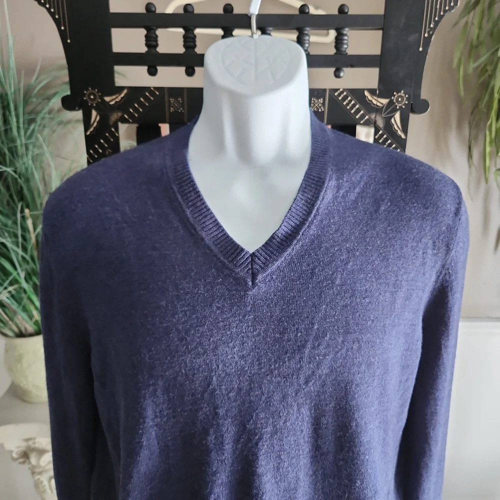 Banana Republic blue merino wool v-neck sweater