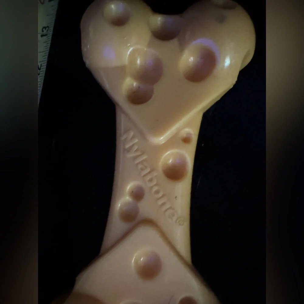 nylabone great pre