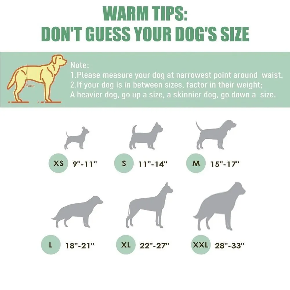 N/A male dog