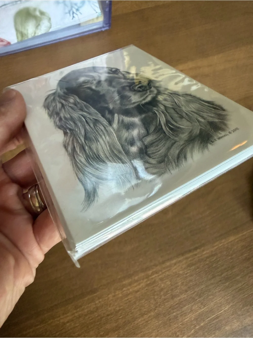 Wolf Run Studios irish setter