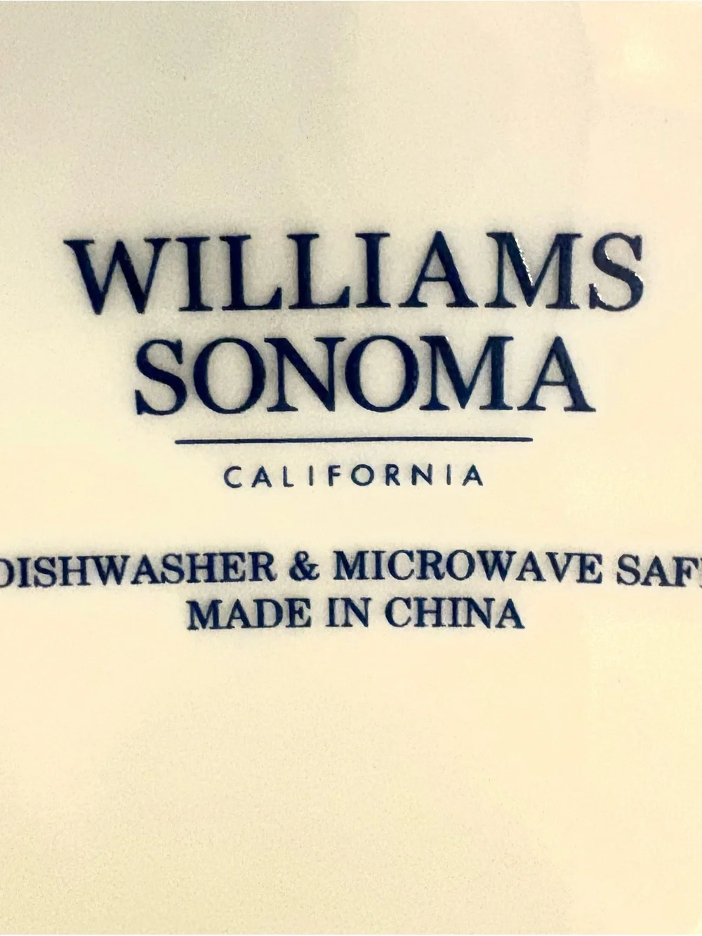 Williams Sonoma deep large
