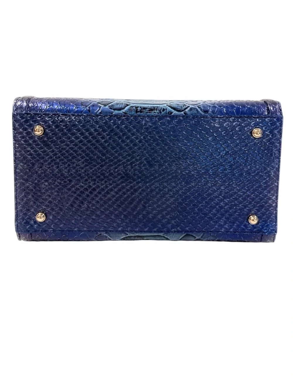 Brahmin small caroline