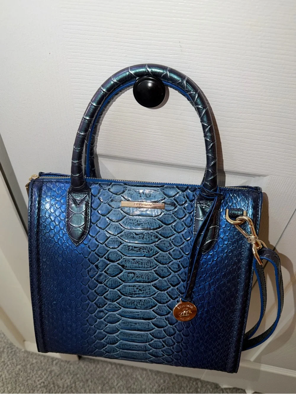 Brahmin small caroline
