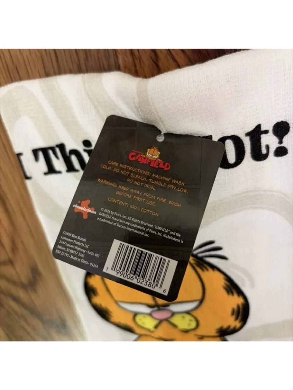 Nickelodeon garfield cartoon