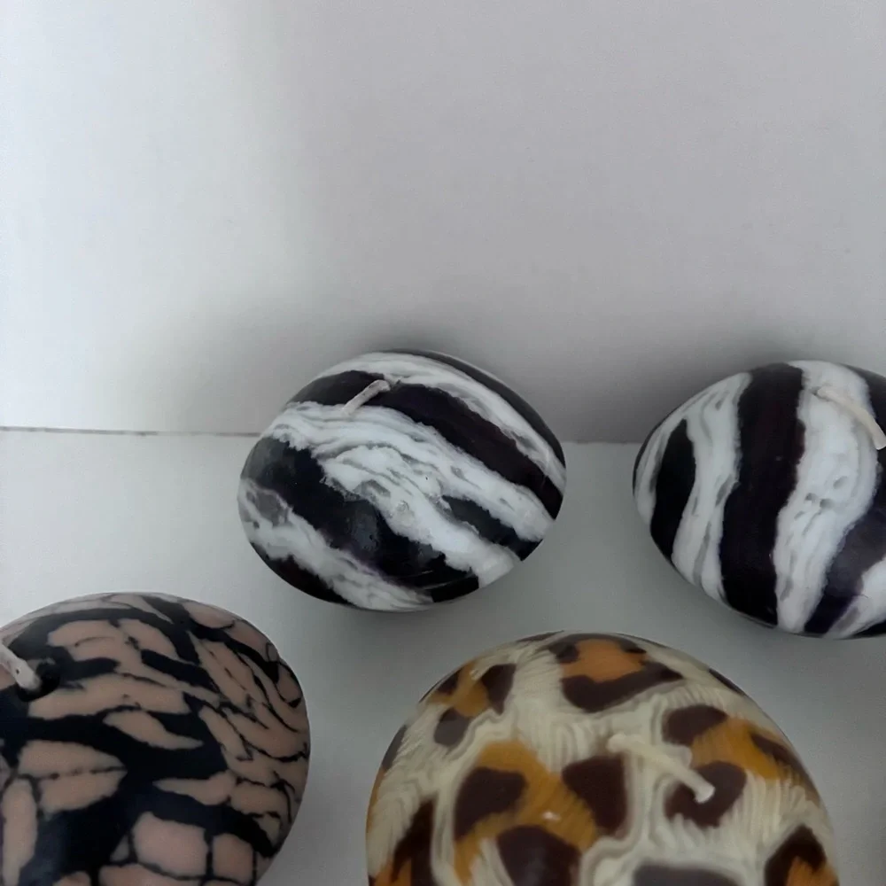 N/A snake zebra