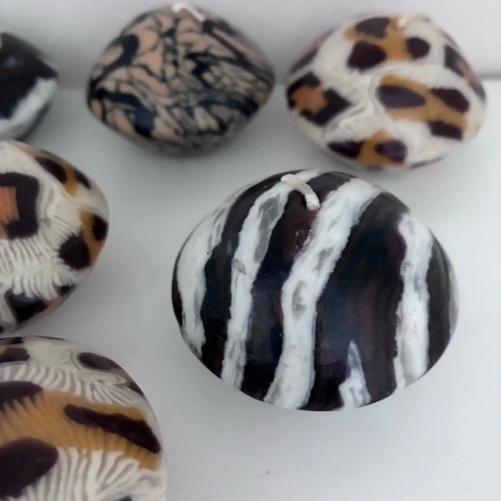 N/A snake zebra