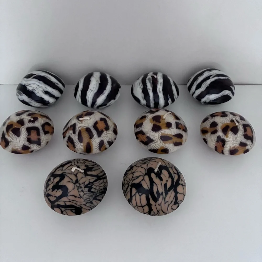 N/A snake zebra