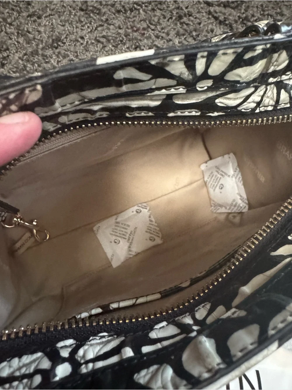 Brahmin cami satchel