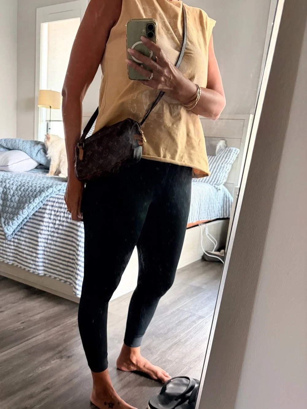 Louis Vuitton iconic louis