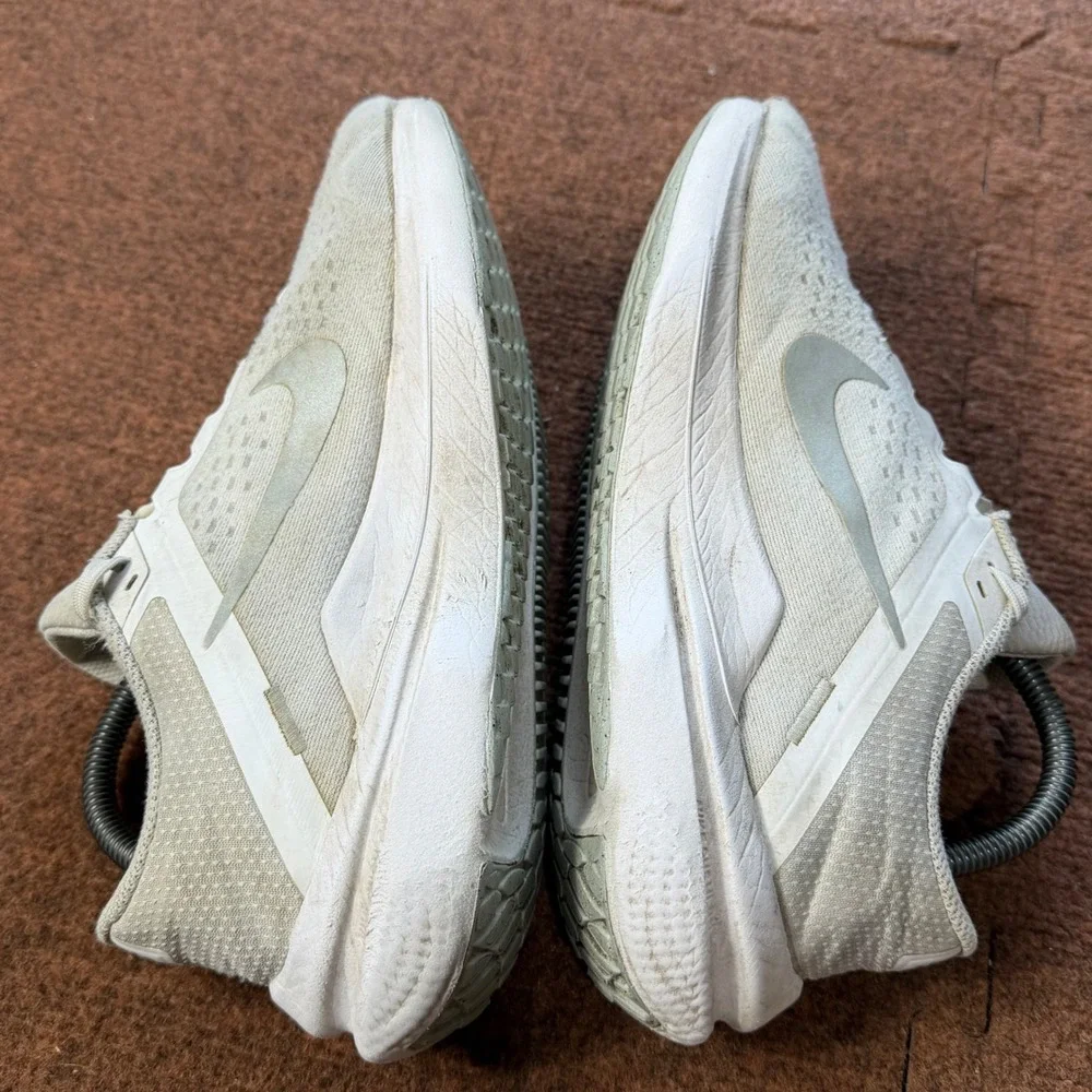 Nike winflo 10