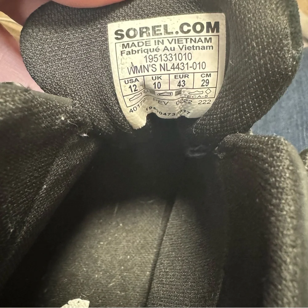 Sorel introducing out