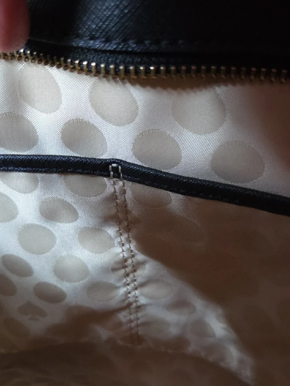 kate spade kate spade