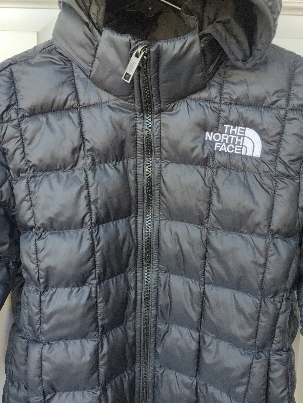 The North Face north face