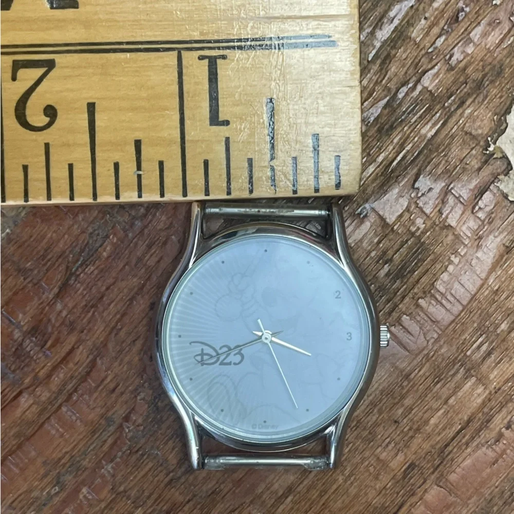 Disney working battery