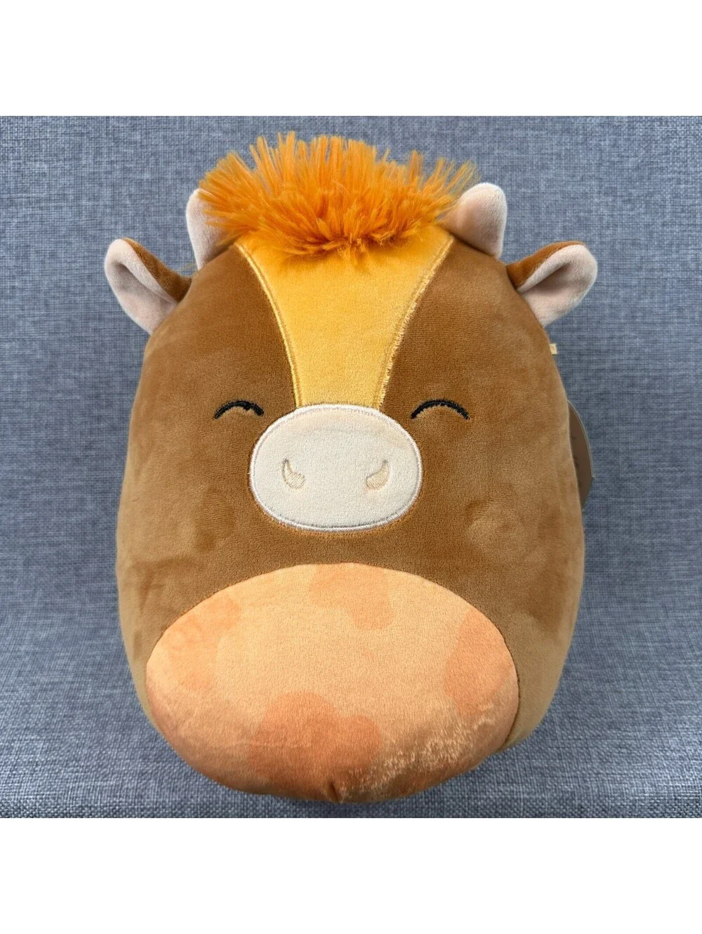 **NWT** Squishmallow 10