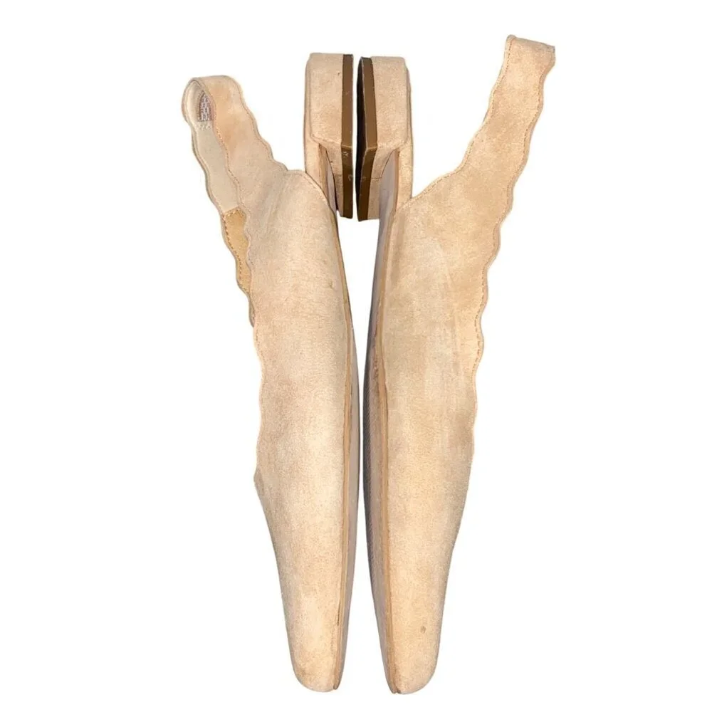 Anthropologie these scalloped