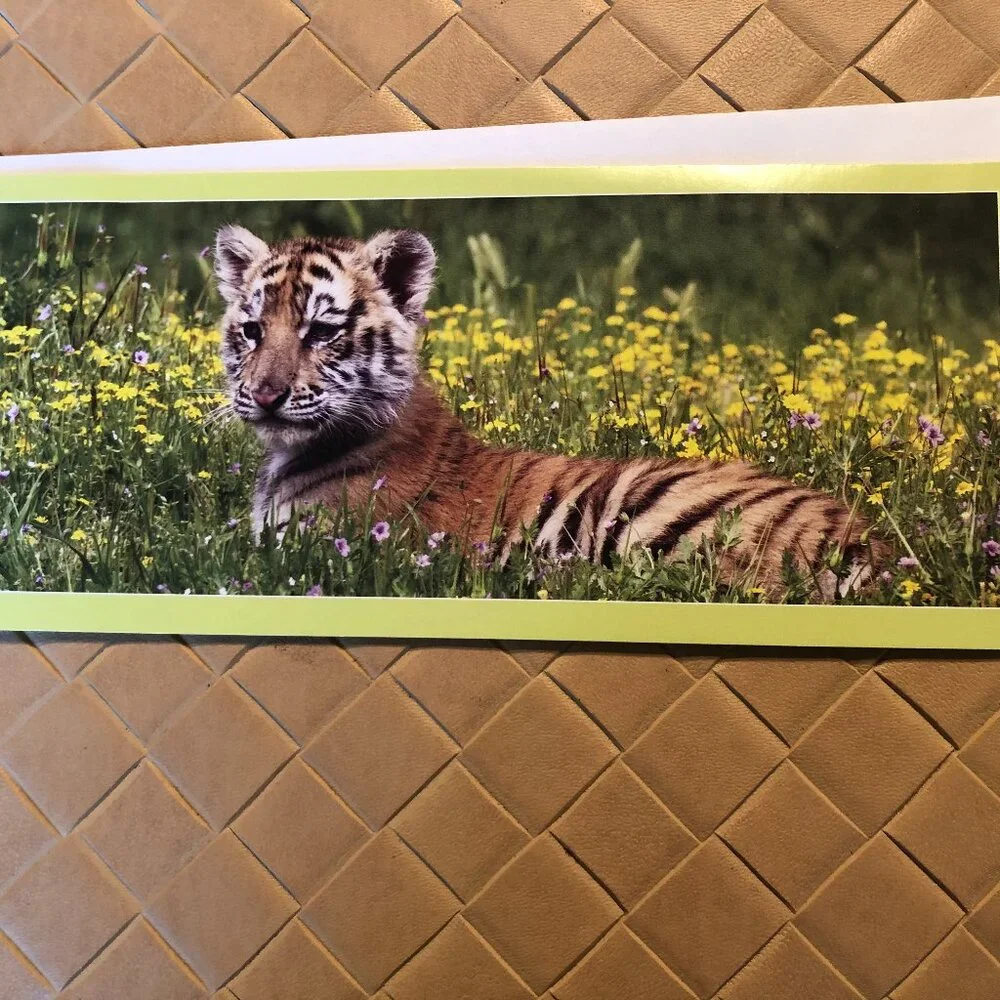World Wild Life Organization there are