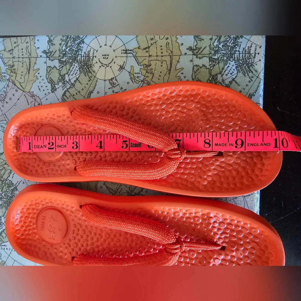 allbirds new