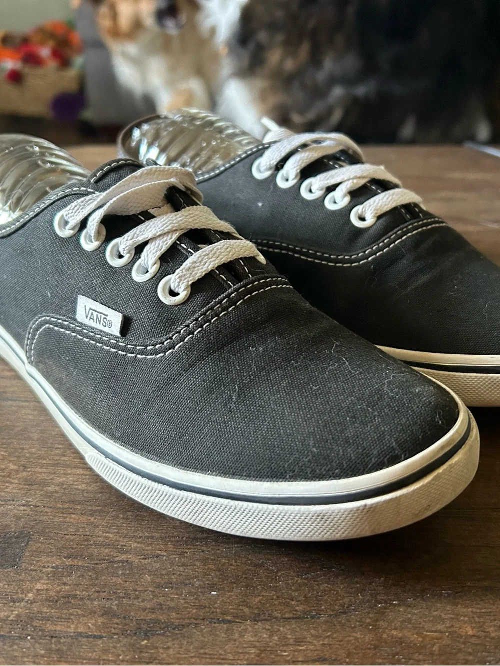 Vans Women's Black Canvas Low-Top Sneakers with White Laces