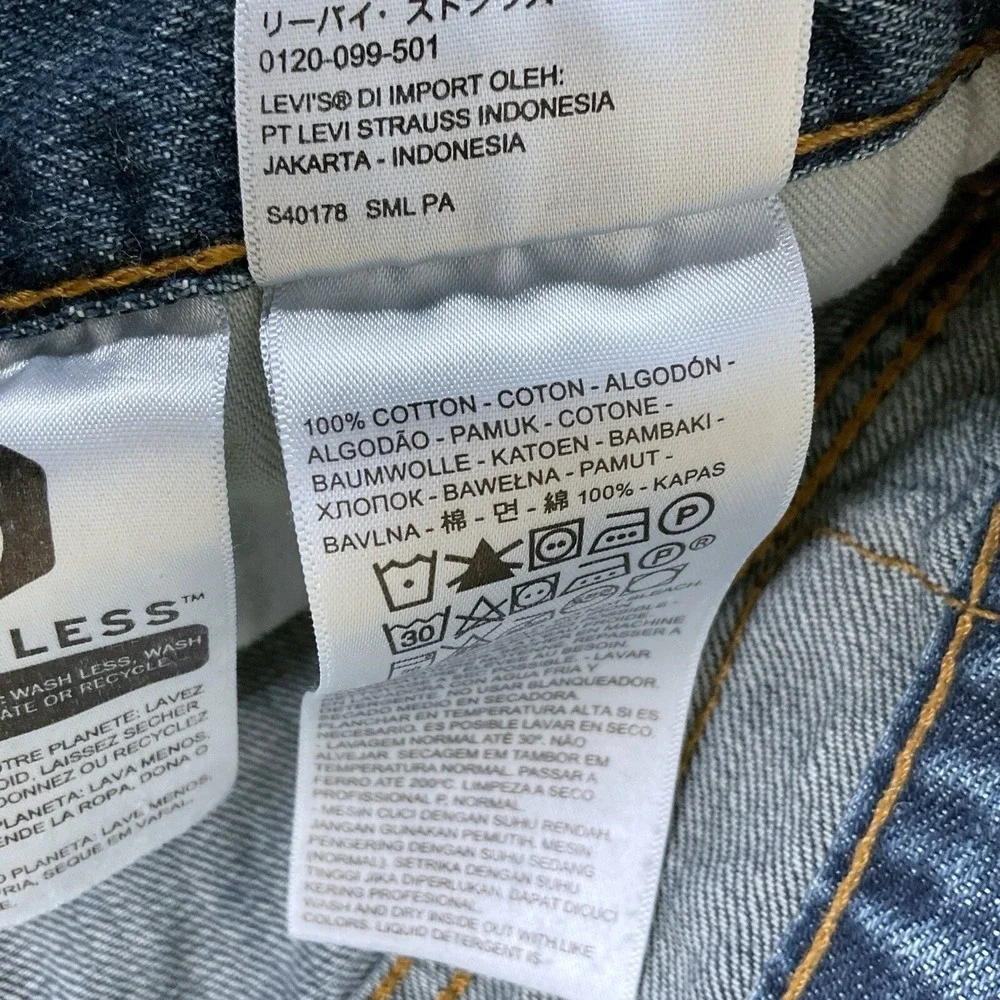 Levis levis 559