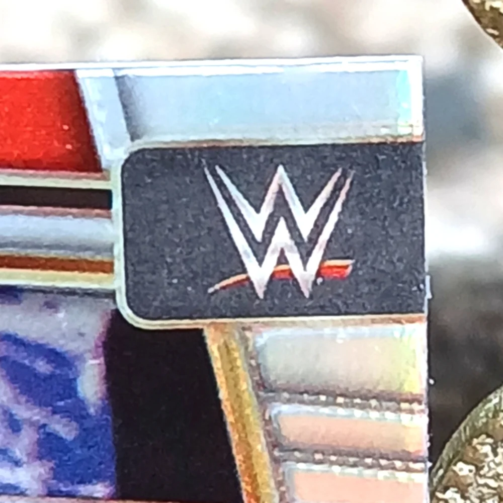 WWE collectible select