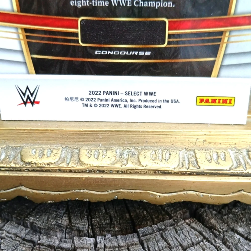 WWE collectible select
