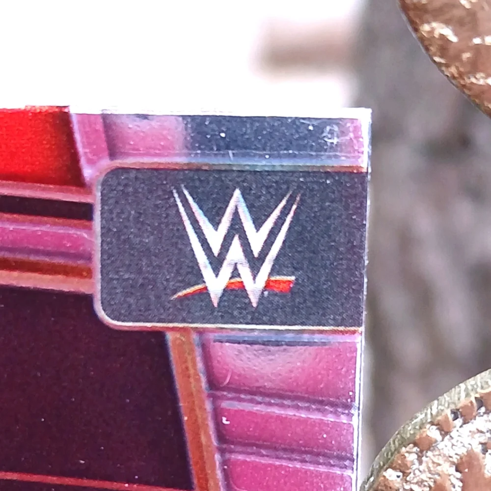 WWE collectible select