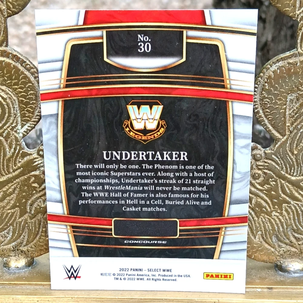 WWE collectible select