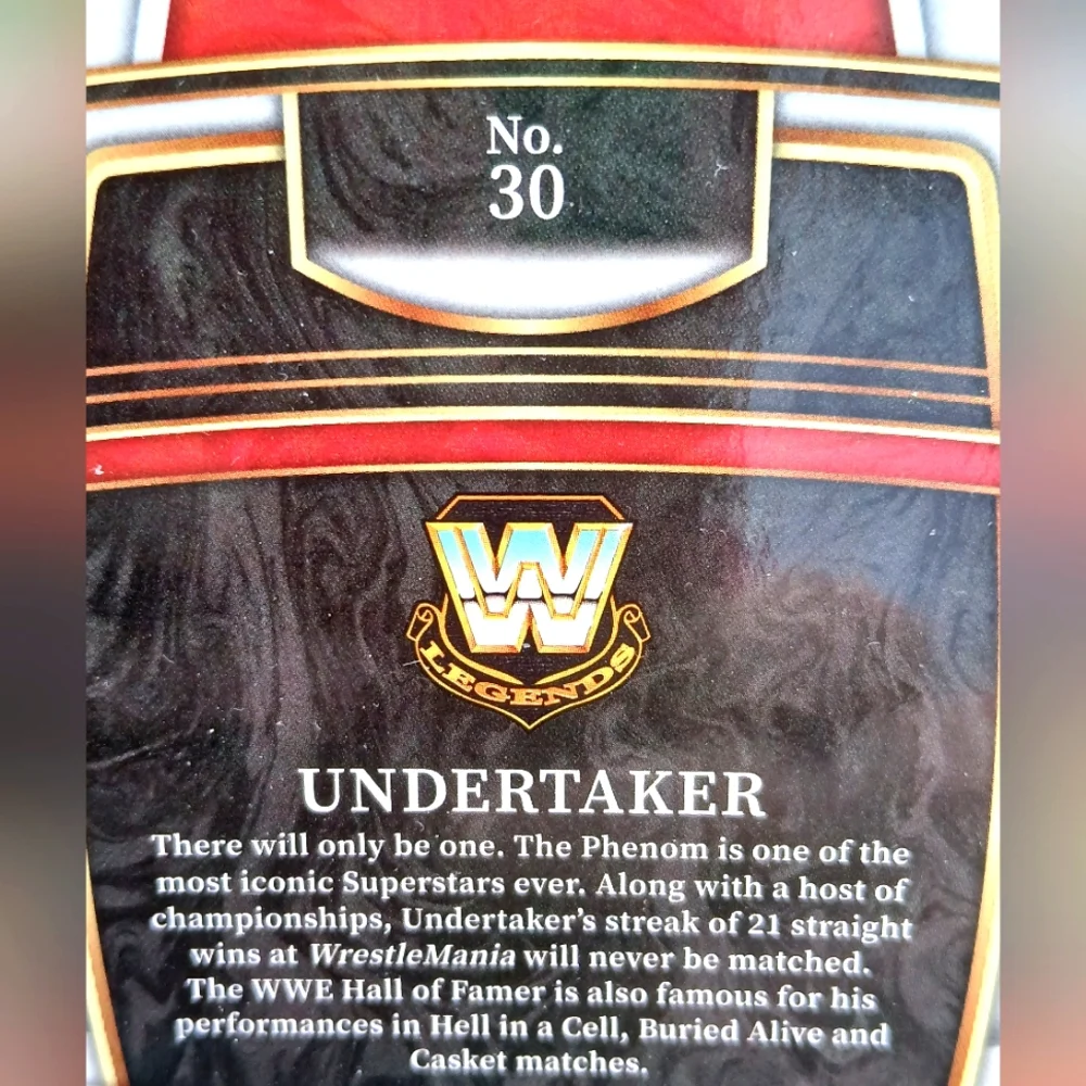 WWE collectible select