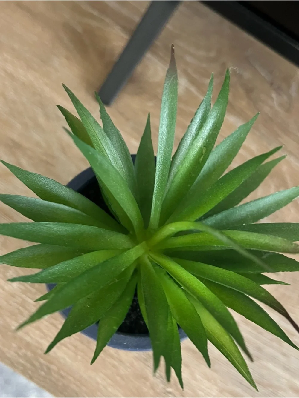 N/A blue ceramic