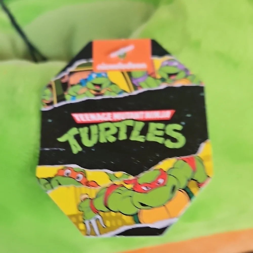 Teenage Mutant Ninja Turtles keep your