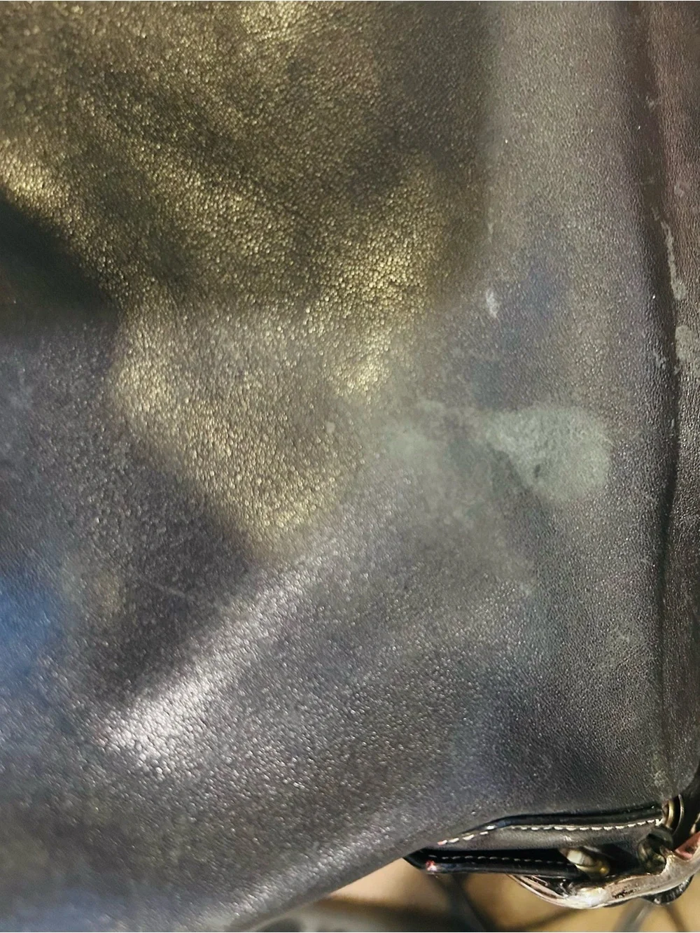 Coach classic black