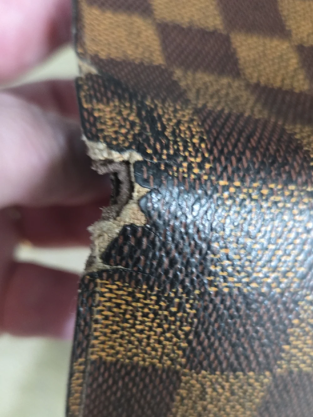 Louis Vuitton authentic louis