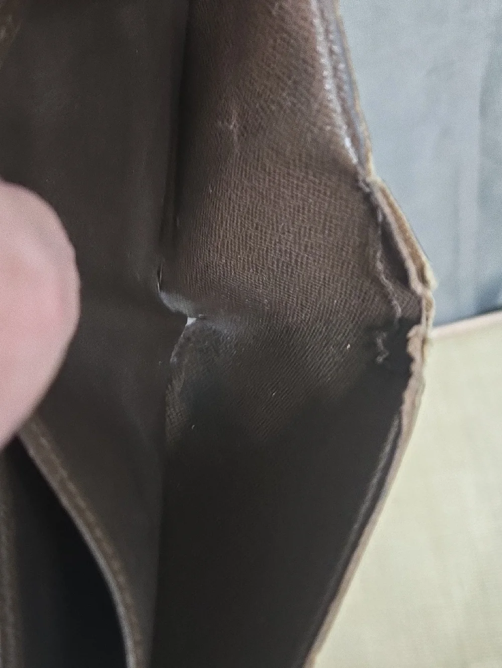 Louis Vuitton authentic louis