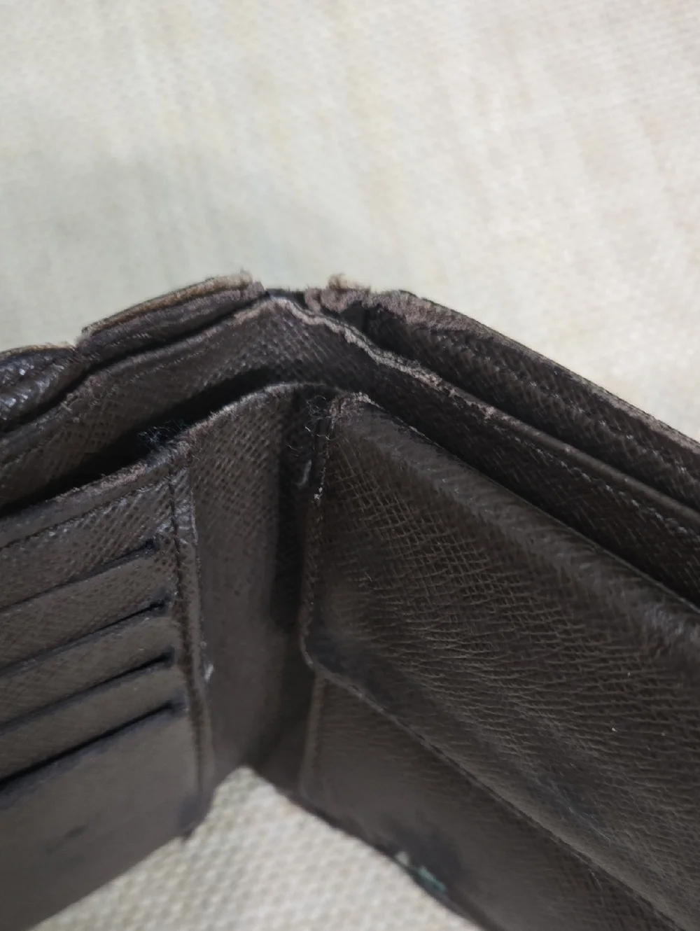 Louis Vuitton authentic louis