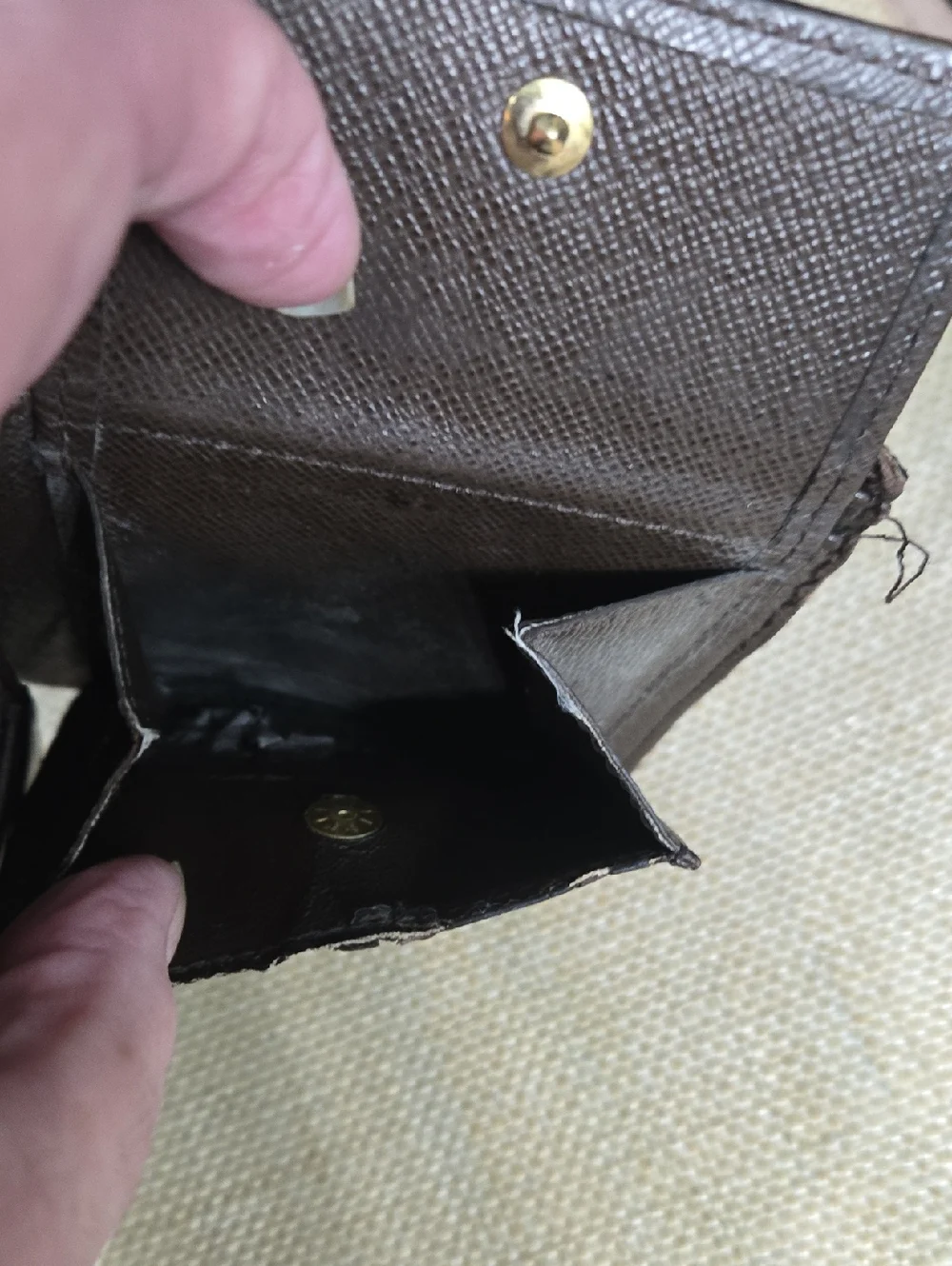 Louis Vuitton authentic louis