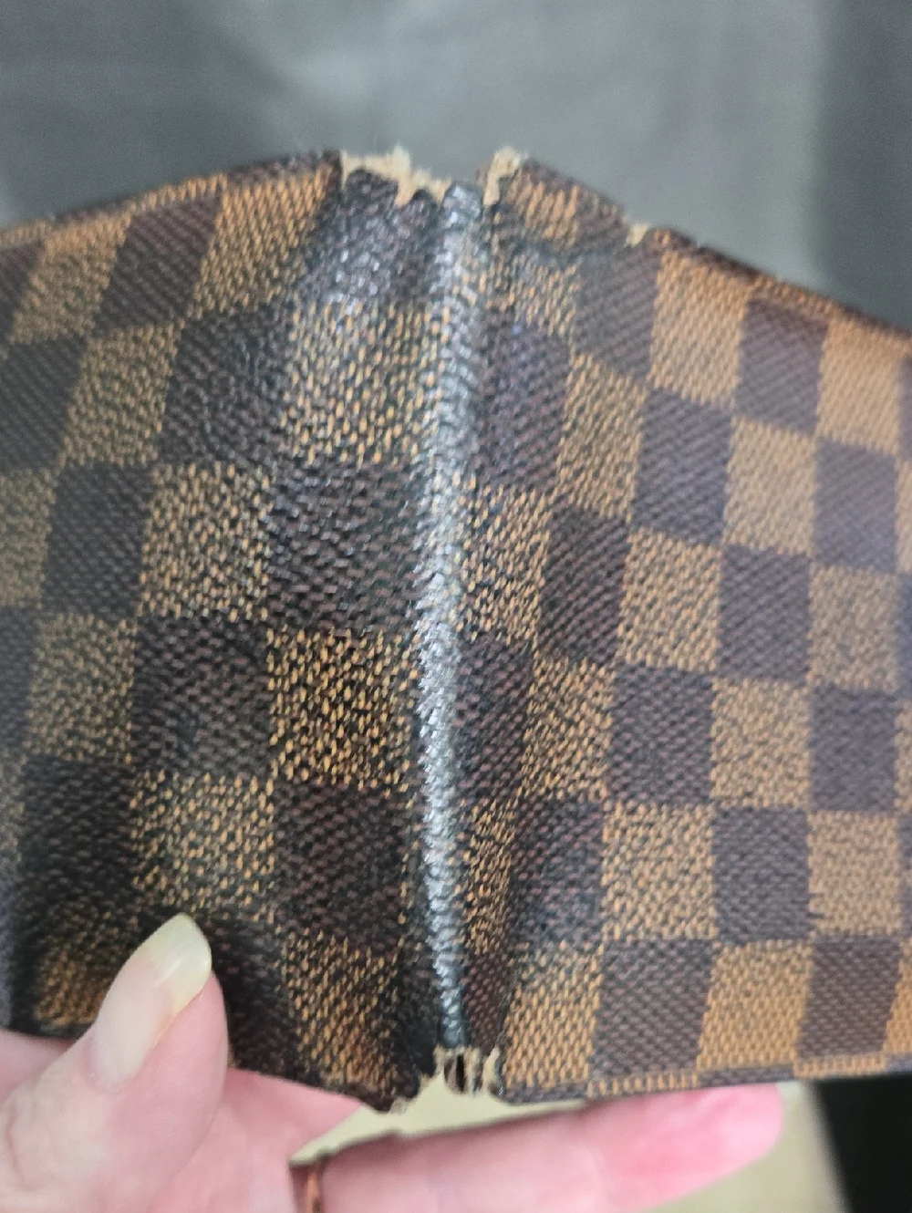 Louis Vuitton authentic louis