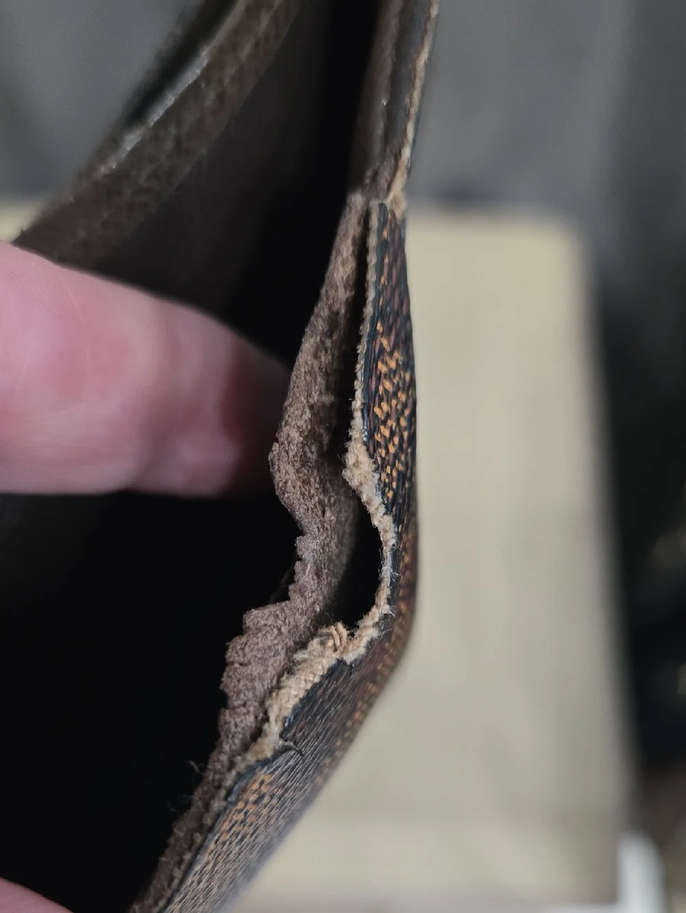 Louis Vuitton authentic louis
