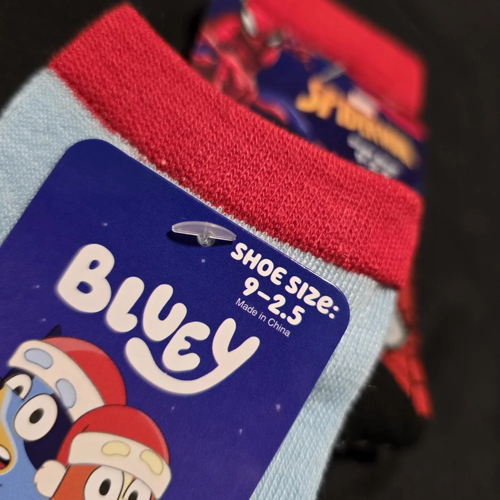 Bluey socks girls