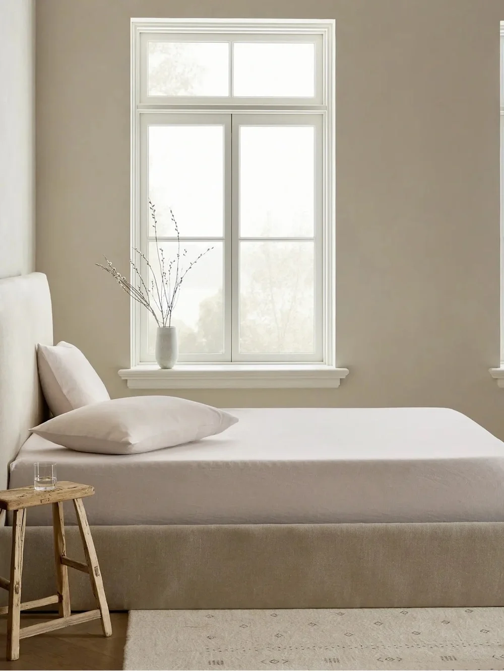 Quince soft european