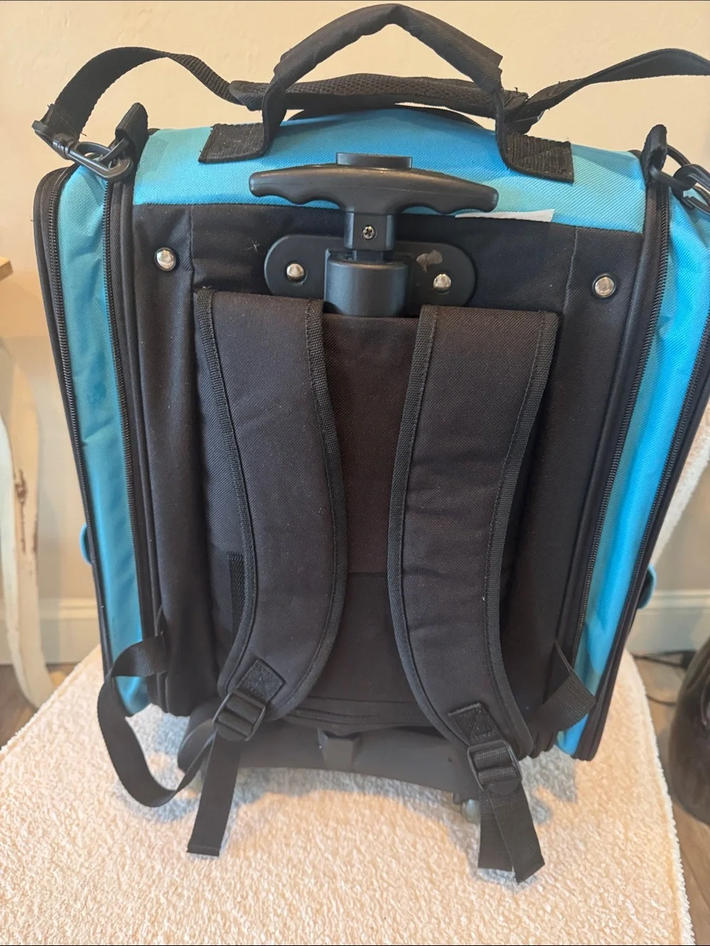 Pet Gear pet gear