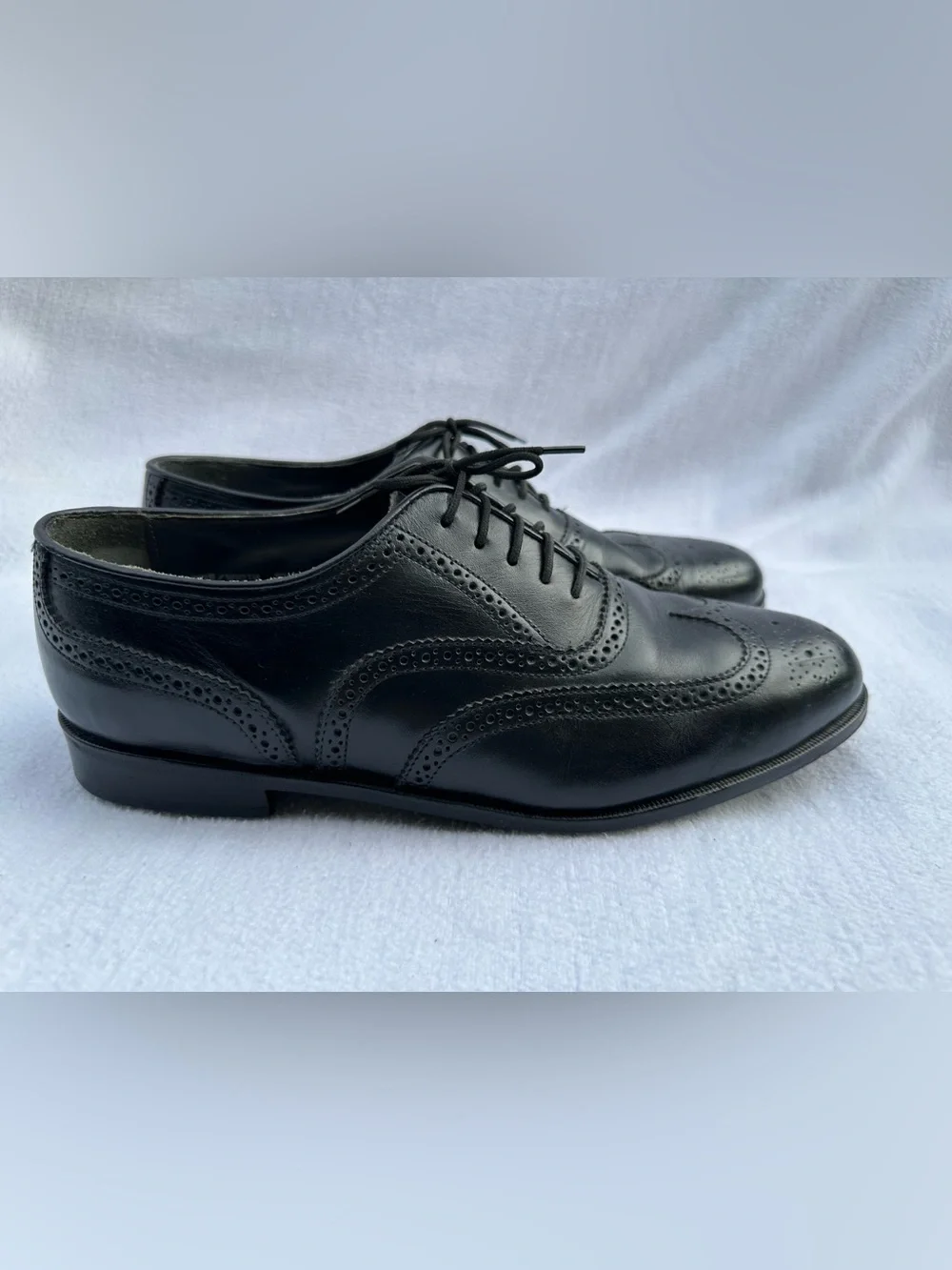 Oakton classics black